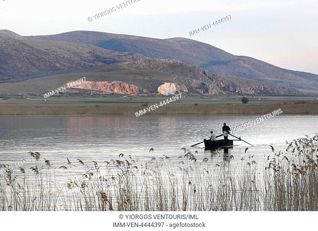Fishermen rowing in Lake Vegoritida that sits between the prefectures of Pella and Florina. Vegoritida Lake, Pella, Central Macedonia, Greece, Europe