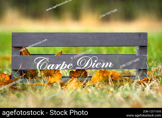 Wooden box with the phrase Carpe Diem in autumn nature