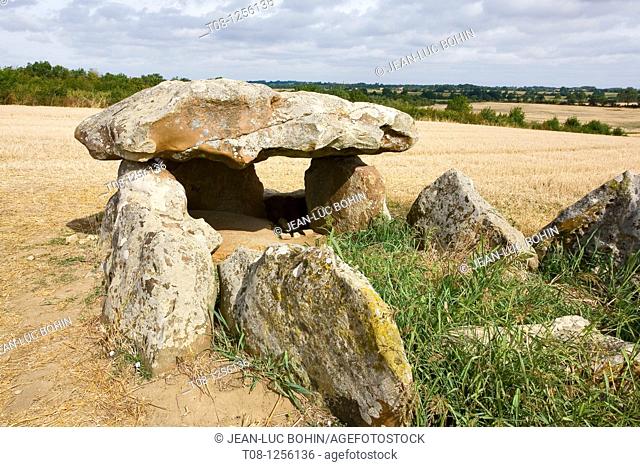 France, 85: dolmen salvatole