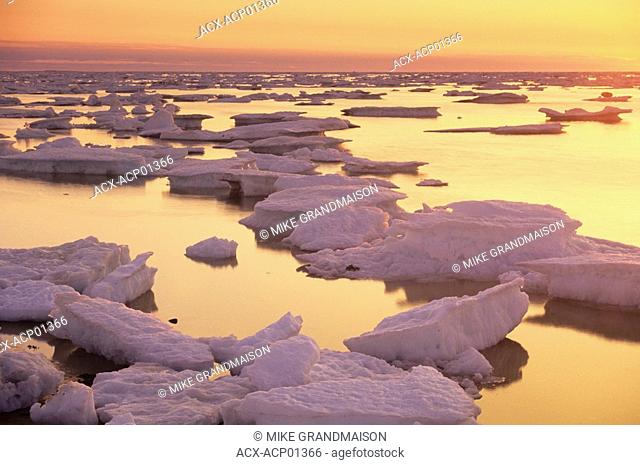 Ice flows on Hudson Bay, Churchill, Manitoba, Canada