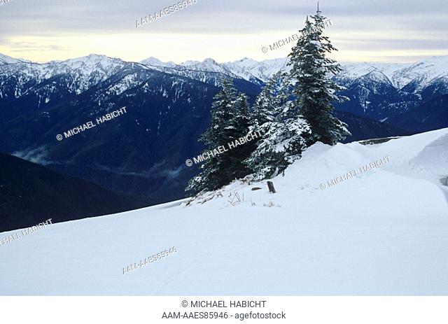 Olympic NP, Hurricane Ridge, WA, Washington, snow