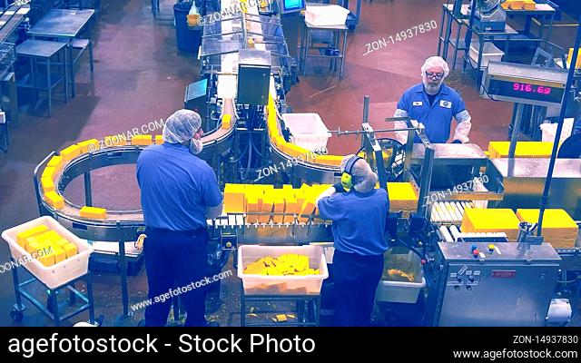 TILLAMOOK, OREGON, USA - SEPTEMBER 1, 2015: workers supervise the cutting of large blocks of aged cheese into smaller blocks at tillamook cheese factory