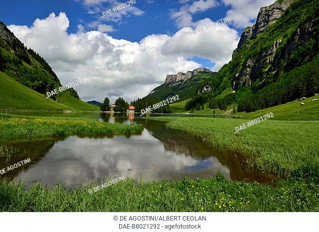 Pasture on the shore of Lake Seealpsee, Canton of Appenzell Innerrhoden, Switzerland
