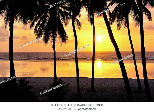 Wonderful sunrise on a beach with palms, Mombasa, Kenya