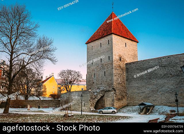 Tallinn, Estonia. Former Prison Tower Neitsitorn In Old Tallinn. Medieval Maiden Tower At Winter Evening. Part Of Tallinn City Wall