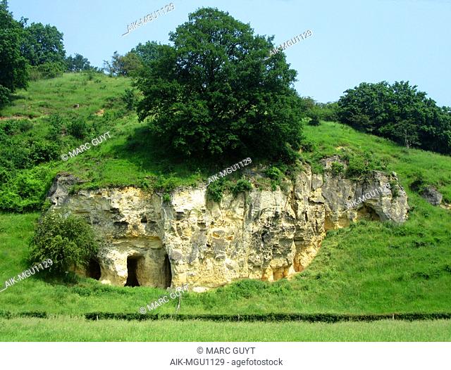 Nature reserve Bemelerberg in Limburg, Netherlands. Merl cave in green grass covered low hill. Big oak growing on top of the cave entrance
