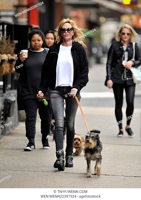 Melanie Griffith walking her dog in Manhattan Featuring: Melanie Griffith Where: New York City, New York, United States When: 17 Apr 2015 Credit: TNYF/WENN