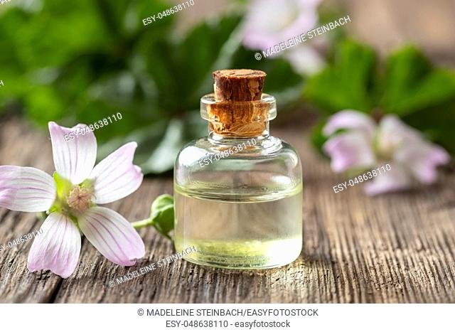 A bottle of common mallow essential oil with fresh malva neglecta plant