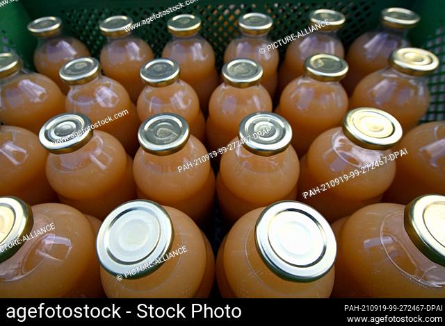 14 September 2021, Brandenburg, Beetzseeheide/Ot Ketzür: Pear juice has been bottled in neutral bottles at Mosterei Ketzür GmbH and is awaiting collection