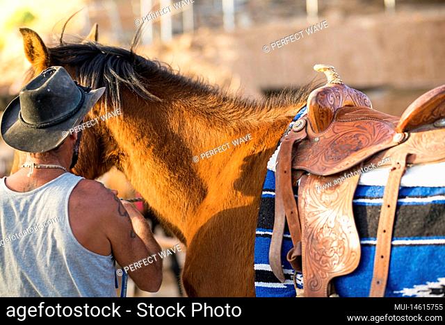 one adult taking care or preparing a horse to race alone in a ranch - healthy and and fit horse