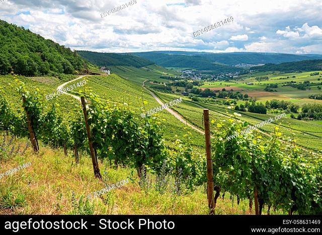 Panoramic landscape with view to the Moselle village Lieser close to Bernkastel, Germany