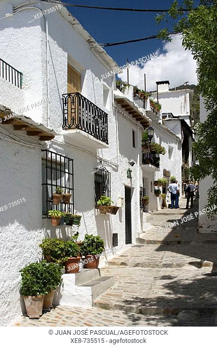 Typical houses, Capileira, Barranco del Poqueira, Alpujarras. Granada province, Andalucia, Spain