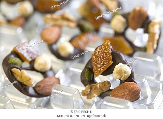 Chocolate mendiants - Wallnut, almond, hazelnut, preserved orange peel