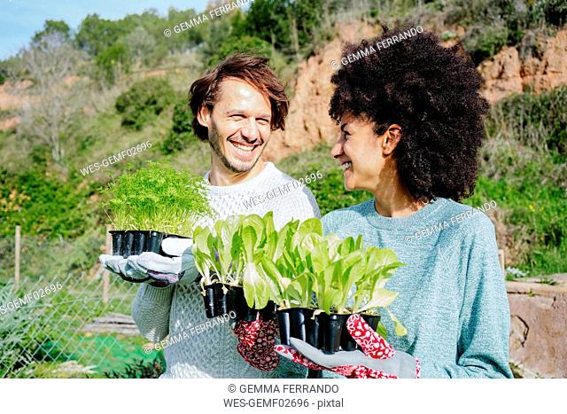 Happy couple carrying lettuce seedlings to their vegetable garden