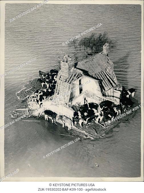 Feb. 02, 1953 - Picture from the air: Latest scenes of the Essex flood area. Cattle in ancient farmhouse on Foulness Island