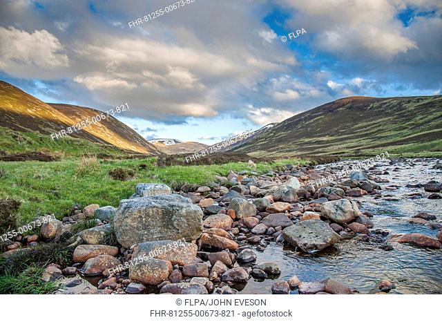 View of river flowing through glen, in evening sunlight, Clunie Water, near Braemar, Cairngorms N.P., Aberdeenshire, Highlands, Scotland, May