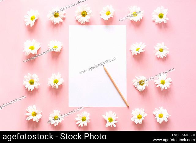 Workspace with paper for notes, chrysanthemum flowers on pink. Flat lay, top view