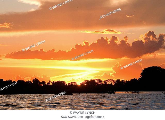 Sunset, Pantanal wetlands, Southwestern Brazil, South America