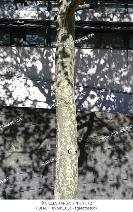 tourism, France, paris 19th arrondissement, tree in city, danube district, rue david d'angers, street, tree shade on lycee diderot Photo Gilles Targat