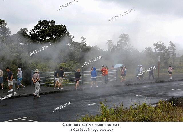 Tourists observing steam vents, hot springs, Hawaii Volcanoes National Park, Big Island, Hawaii, USA