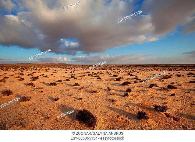 Desert in Western Sahara