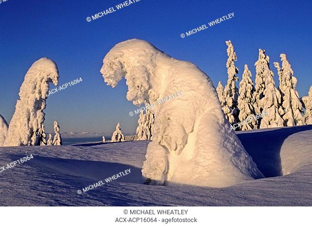 Snow ghosts, Mount Seymour Provincial Park, British Columbia, Canada