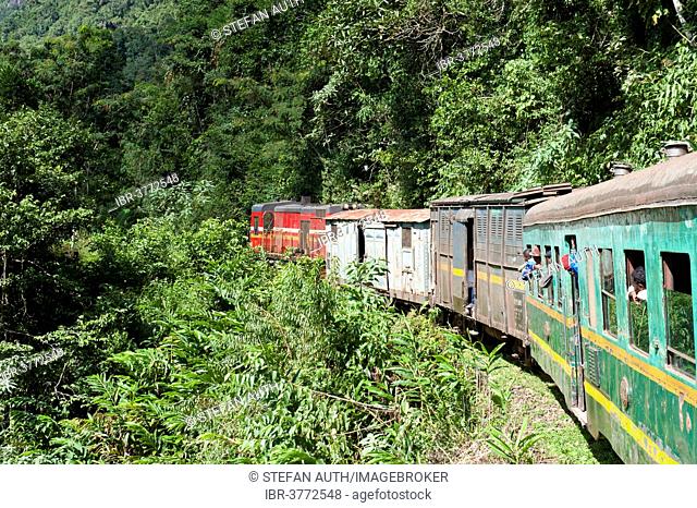 Vintage train traveling through jungle, Fianarantsoa-Côte Est Railway or FCE, Sahambavy, Madagascar