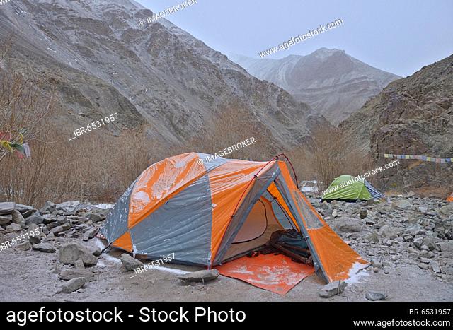 High altitude trekking camp in Hemis national park, Ladakh, India, Asia