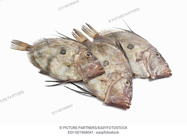 Fresh John Dory fishes on white background