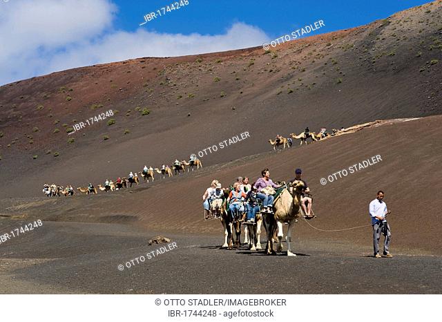 Tourists riding camels in Montana del Fuego de Timanfaya National Park, Lanzarote, Canary Islands, Spain, Europe