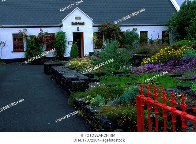 garden, red, blooming, colorful, gate, bright