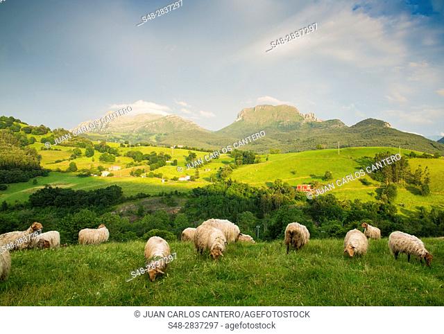 Entorno rural en Ramales de la Victoria. Cantabria. España. Europa