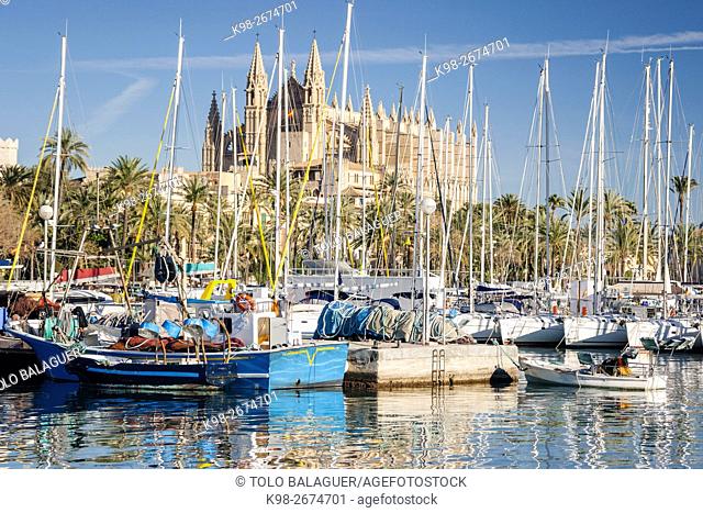 Catedral de Palma desde Moll de la Riba, Palma, Majorca, Balearic Islands, Spain