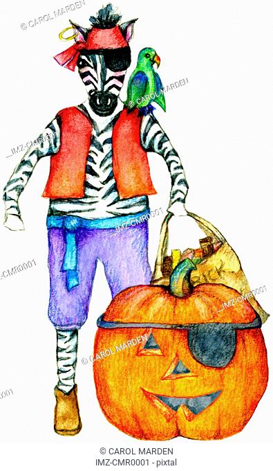 A zebra dressed as a pirate with a parrot on his shoulder and a pumpkin in front of him