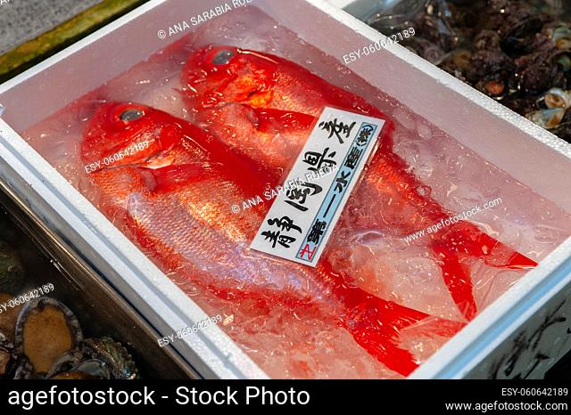 Fresh seafood for sale at Tokyo's famous Tsukiji Fish Market, Japan