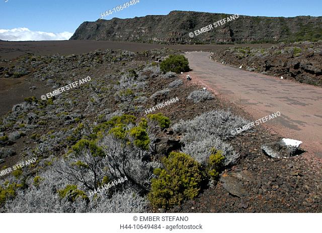10649484, Ile de la Reunion, Indian ocean, scanty, scenery, plants, street, volcanical, volcanism, desert