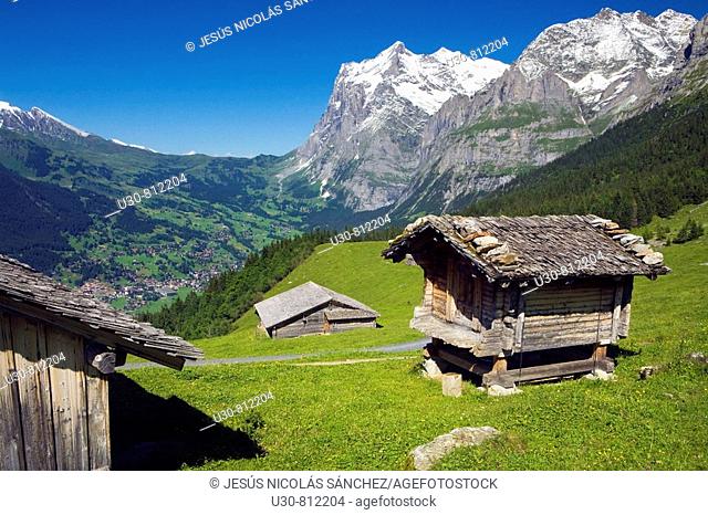 Landscape at the base of the mountain of Eiger  Grindelwald, Alpiglen  Kleine Scheidegg  Grassland and cabins farm  Berneses Alps  Switzerland