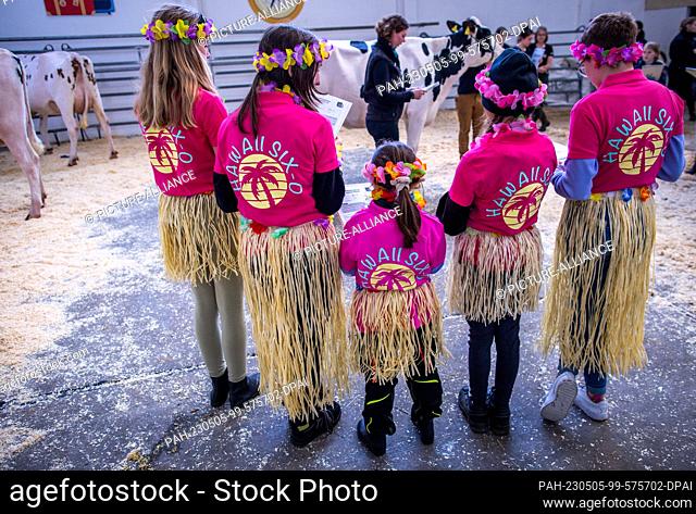 05 May 2023, Mecklenburg-Western Pomerania, Karow: The girls of the ""Hawaii Six-O"" team from Saxony-Anhalt evaluate the quality of breeding animals at the...