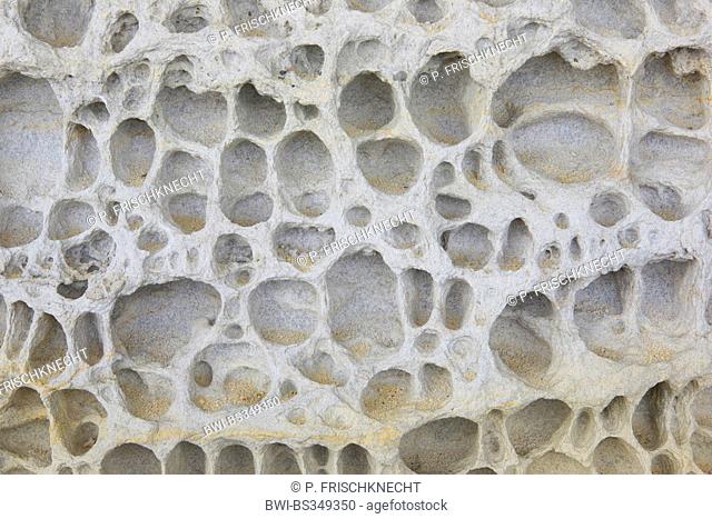 Salt weathering of sandstone, United Kingdom, Scotland