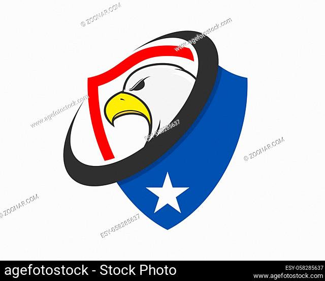 Eagle head in the american shield logo