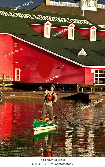 Young man practises stand-up paddling in canoe on Lake Muskoka, Bracebridge, Ontario, Canada