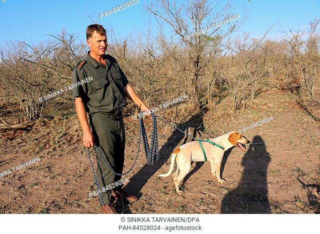 Dog trainer Johan van Straaten holds a dog on a leash at the Southern African Wildlife College in Hoedspruit, South Africa, 01 October 2016