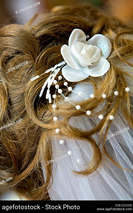 Bride hair with flower and veil, back view