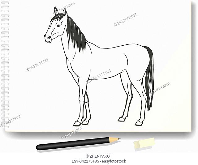 Vector illustration of a horse drawn by hand in pencil on the album A4. The concept of learning to draw animals. Drawing lessons