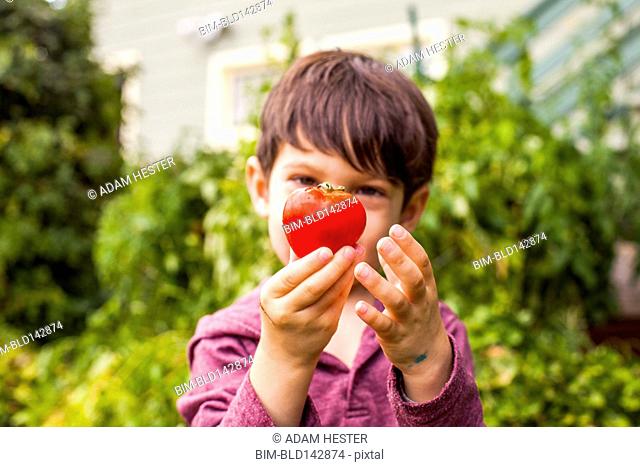 Mixed race boy admiring fresh fruit in garden