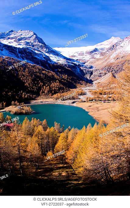 The lake of Alp Grum surrounded by autumn colors, in the background glacier Palù. Poschiavo Valley Canton of Graubünden Switzerland Europe