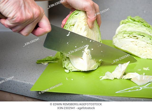 Chopping a head of cabbage (Brassica oleracea)