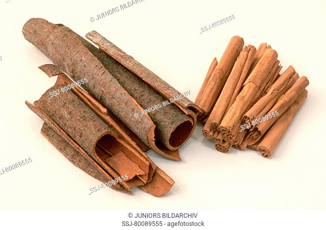 DEU, 2002: Ceylon Cinnamon (Cinnamomum zeylanicum, Cinnamomum verum), sticks, studio picture