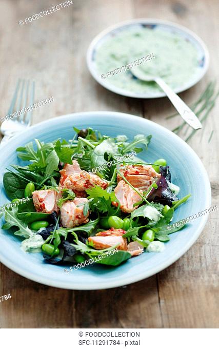 A mixed leaf salad with hot smoked salmon, broad beans, soya beans, chives and a herb dressing