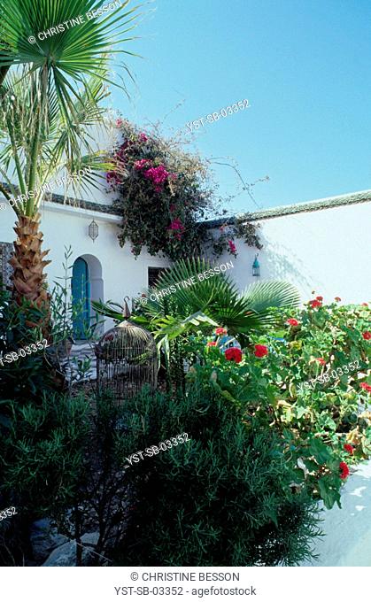 Garden, patio, courtyard, house, Essaouira, Mogador, Moroccan, Africa